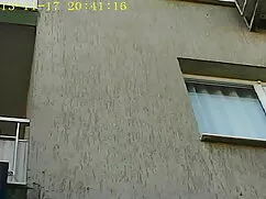 Colata per giovane r ...