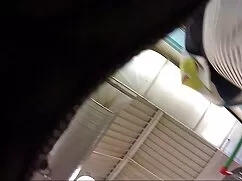 Metti la videofilmer ...