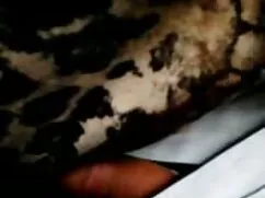 Colorato porno a cas ...